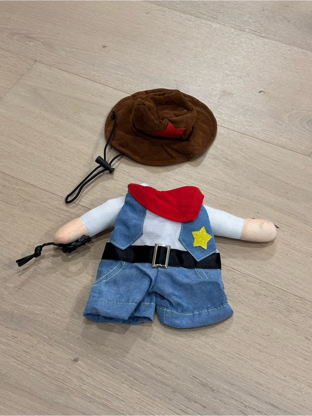 Pet Costume